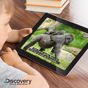 A boy watches a subtitled video in a tablet. Subtitle: 