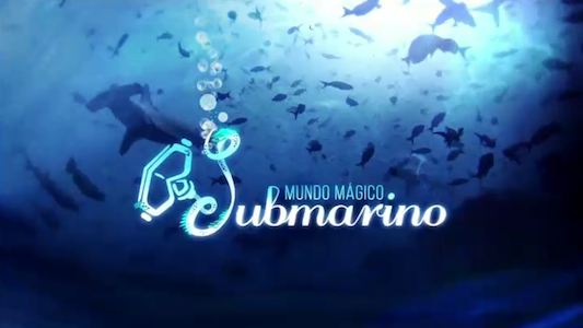Many different fish under the blue ocean. Lacegend Mundo Mágico Submarino