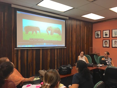 Conference room. Several teachers look in big projector screen the image of 2 elephants facing each other .