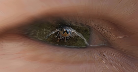 an eye full of stars